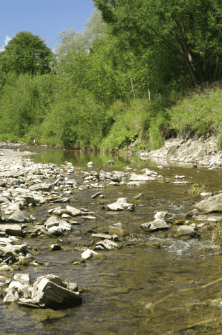 Agroturystyka, noclegi Leputa Bogusław