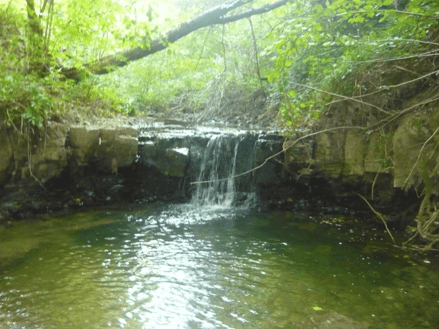 Agroturystyka, noclegi Leputa Bogusław