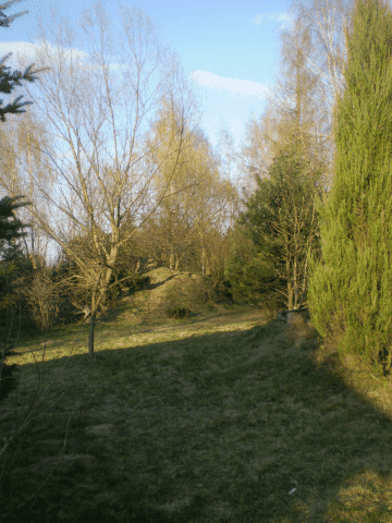 Zatoka Wilków Magdalena Świątecka-Wilk