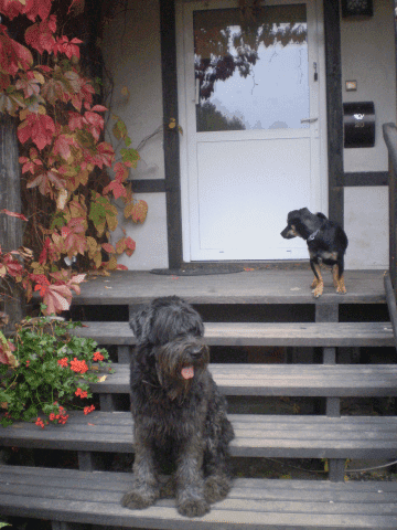 Zatoka Wilków Magdalena Świątecka-Wilk