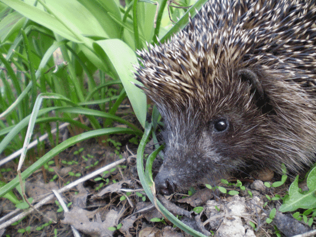 Zatoka Wilków Magdalena Świątecka-Wilk