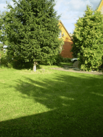 Dom pod brzózkami - Supraśl