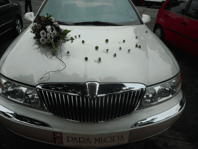 PRACOWNIA FLORYSTYCZNA ALEKSANDRA WIERZBOWSKA