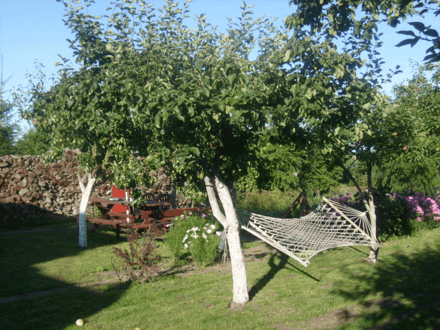 Pokoje w Wolinie. Wolin