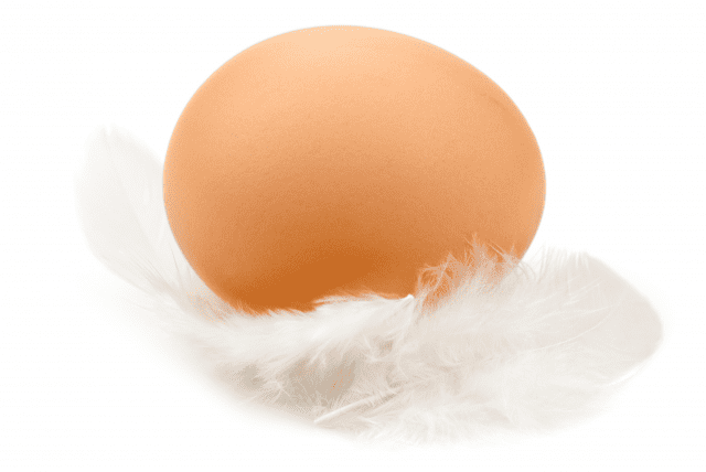 Ferma Drobiu Skarbek Gabriela