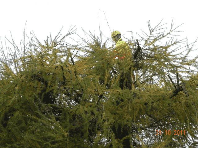 Firma Usługowa ALPINEK  Łukasz Sworowski