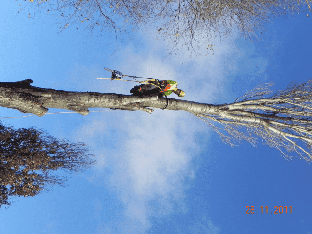 Firma Usługowa ALPINEK  Łukasz Sworowski