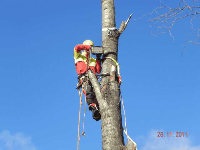 Firma Usługowa ALPINEK  Łukasz Sworowski