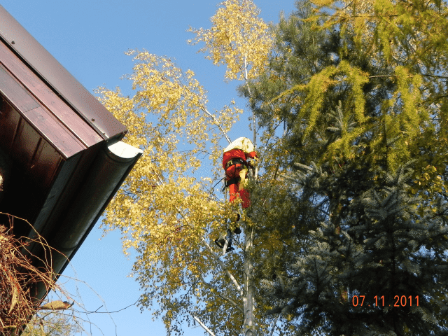 Firma Usługowa ALPINEK  Łukasz Sworowski