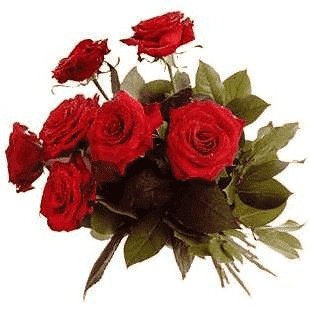 Kwiatuszek.Kwiaciarnia. Bukiety ślubne, wieńce pogrzebowe