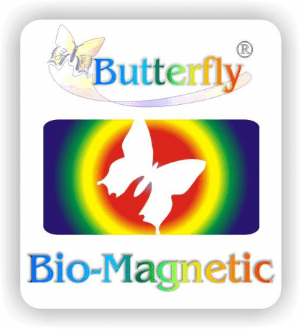 Butterflay-Biomagnetic-system Janina Niechwiej