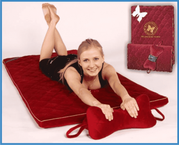 Butterflay-Biomagnetic-system Janina Niechwiej