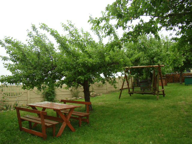 AGROTURYSTYKA PRZY ŹRÓDEŁKU. PIOTROWICZ T.