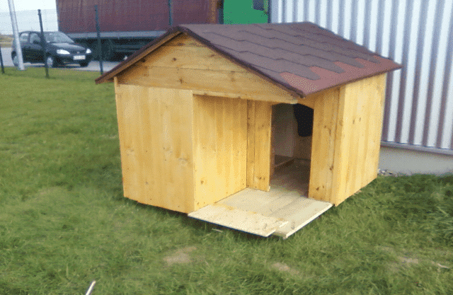 RENO PLUS DREW  KUCWAJ JÓZEF