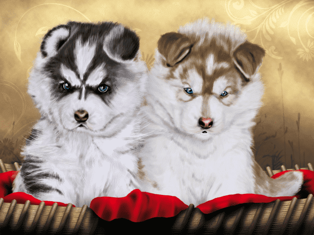 Studio reklamy artystycznej