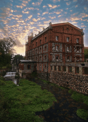 WIESŁAWA ZAWIERUCHA PRZEDSIĘBIORSTWO WIELOBRANŻOWE "DAM & MAM"