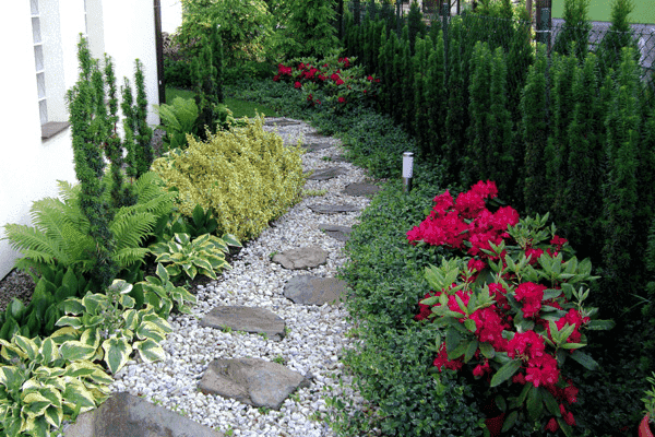 GardenMario Mariusz Szczepaniak