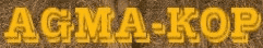 AGMA-KOP SYLWESTER RADOMSKI