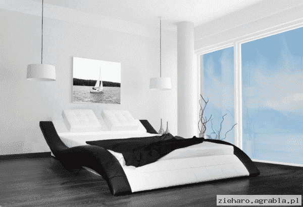 PRZEDSIĘBIORSTWO HANDLOWO-USŁUGOWE "ZIEMANEX" 