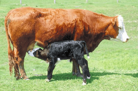 Usługi i Handel Szymon Kwiatkiewicz