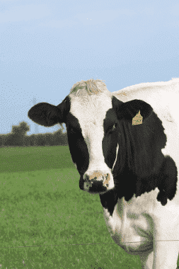 Usługi i Handel Szymon Kwiatkiewicz