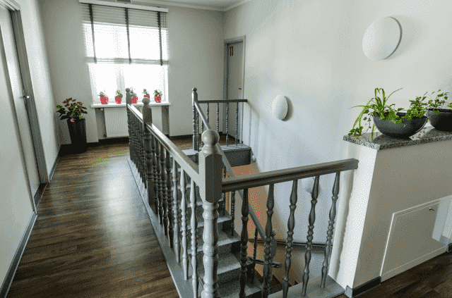 ALEKSANDRA LASKOWSKA AGORA