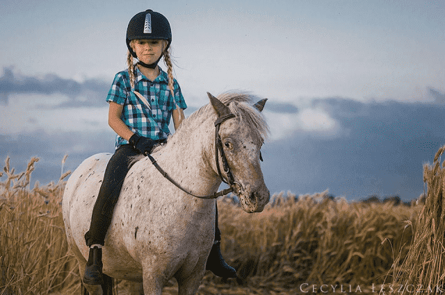 Gospodarstwo Agroturystyczne KUCYKOLANDIA