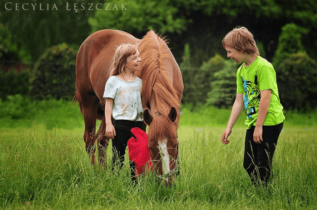 Gospodarstwo Agroturystyczne KUCYKOLANDIA