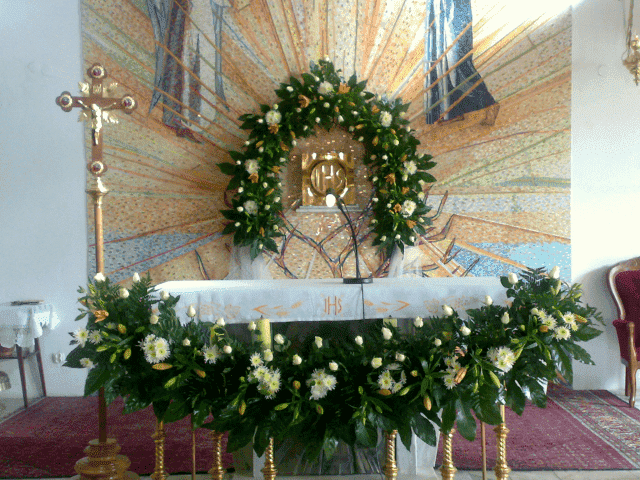 AGER KWIACIARNIA J.Rybienik