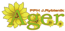AGER KWIACIARNIA J.Rybienik